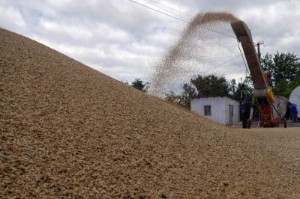 Ảnh của U.N. says details for safe Ukraine grain shipments still being worked out