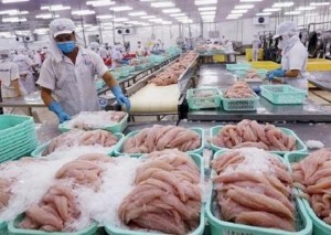 Picture of Trung Quốc, Mỹ dẫn đầu thị trường nhập khẩu cá tra của Việt Nam