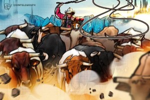 Picture of What will drive crypto’s likely 2024 bull run?