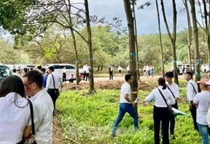Ảnh của Sẽ đề xuất xử lý doanh nghiệp 'làm trò' sốt đất tại Bình Phước