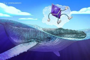 Picture of Ether exchange netflow highlights behavioral pattern of ETH whales