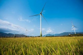 Loạt tập đoàn, quỹ đầu tư Đan Mạch quan tâm thị trường điện gió Việt Nam