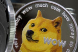 Picture of Cryptoverse-Elon Musk frees the bird and the dog coin flies