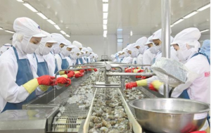 Ảnh của "Vua tôm" Minh Phú (MPC) báo lãi hợp nhất quý 3/2022 cao nhất 15 quý