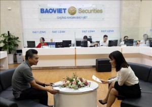 Ảnh của BVS: Lãi 9 tháng hoàn thành 36% kế hoạch, pha "quay xe" bất ngờ khiến lợi nhuận vượt chỉ tiêu cả năm