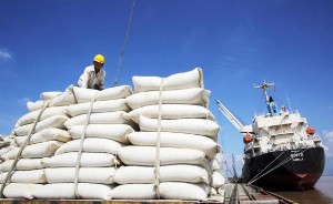 Ảnh của Tại sao dù là cường quốc xuất khẩu gạo thế giới, Việt Nam vẫn phải nhập khẩu số lượng lớn từ Ấn Độ và Campuchia?
