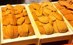 Picture of Trứng nhum biển Nhật Bản cho giới nhà giàu Việt, giá siêu đắt đỏ