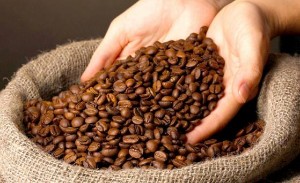 Ảnh của Giá cà phê hôm nay 25/11: Giảm tiếp 500 đồng/kg
