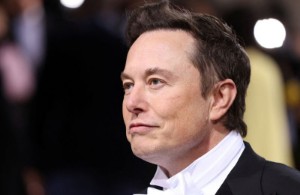 Picture of Exclusive-Musk’s Neuralink faces federal probe, employee backlash over animal tests