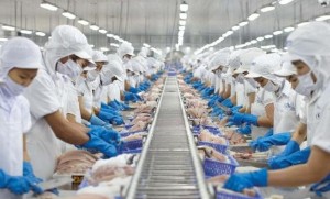 Ảnh của Doanh thu xuất khẩu tháng 11 của Vĩnh Hoàn (VHC) giảm ở nhiều "mặt trận": Một tín hiệu đáng lo hiện hữu?