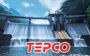 Ảnh của Vừa được cổ đông ngoại mua gần 25% vốn, cổ phiếu VPD liền "đổ đèo"