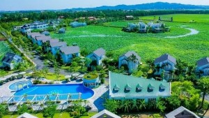 Ảnh của Đầu tư Thăng Long (TIG) muốn huy động 240 tỷ đồng từ chào bán cổ phiếu riêng lẻ