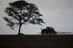 Picture of Brazil's soybean harvest off to slow start -AgRural