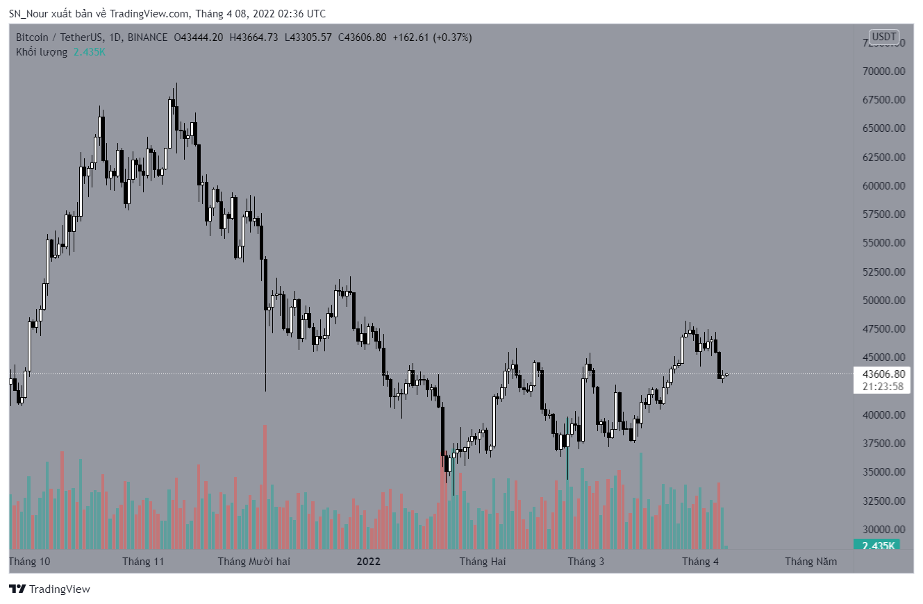 btc-co-hoi