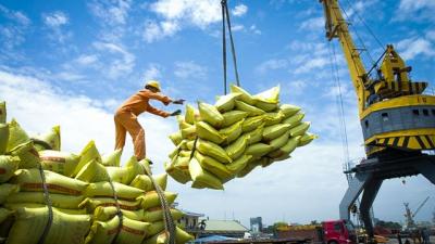 Xuất khẩu gạo vào Asean: Cửa rộng nhưng vẫn vướng