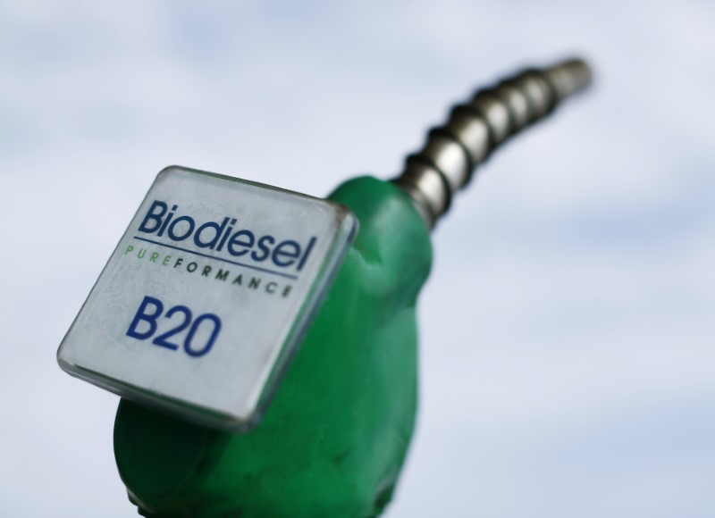 Exclusive-Britain, Germany push G7 for halt to biofuel mandates to tame food prices