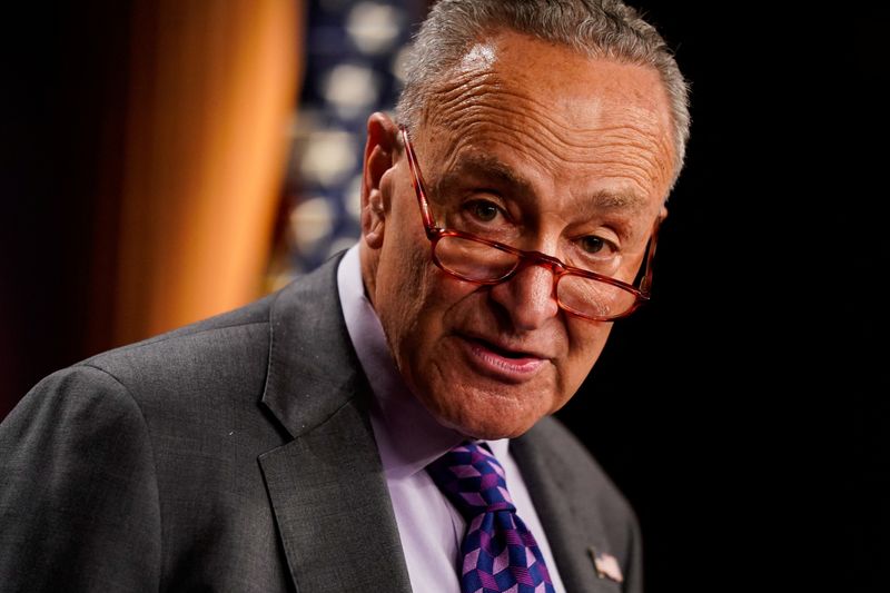 Democrats will add provisions on insulin to energy, tax bill -Schumer