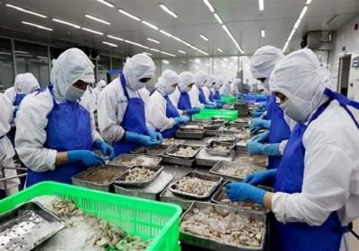 Làm thế nào để xây dựng thương hiệu cho thủy sản Việt Nam?