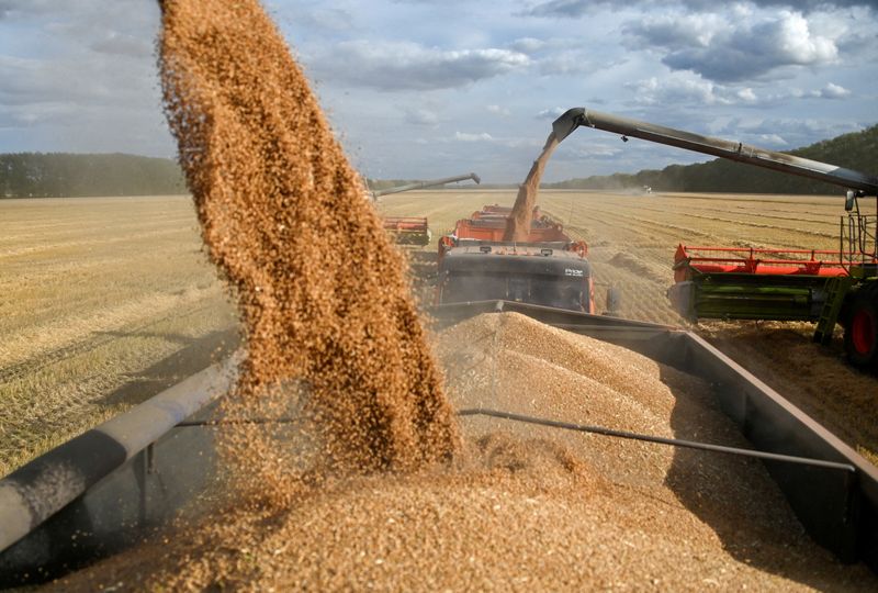 Russia may start providing trade finance to importers of its grain - farm minister