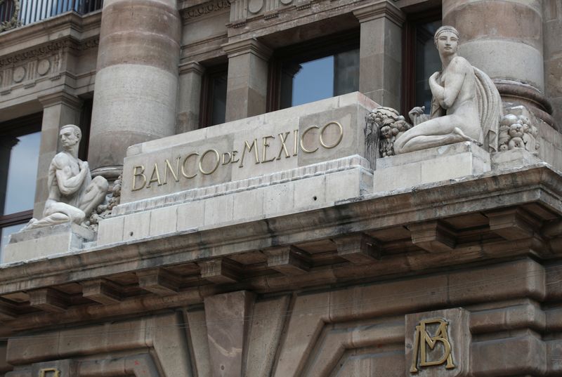 Mexico central banker Borja says bank's 