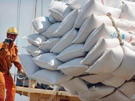 Xuất khẩu gạo có thể đạt 7 triệu tấn trong năm 2022