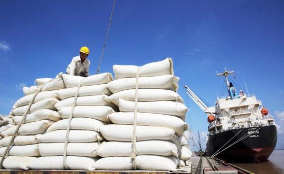 Tại sao dù là cường quốc xuất khẩu gạo thế giới, Việt Nam vẫn phải nhập khẩu số lượng lớn từ Ấn Độ và Campuchia?
