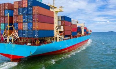 Giá cước vận tải biển giảm mạnh