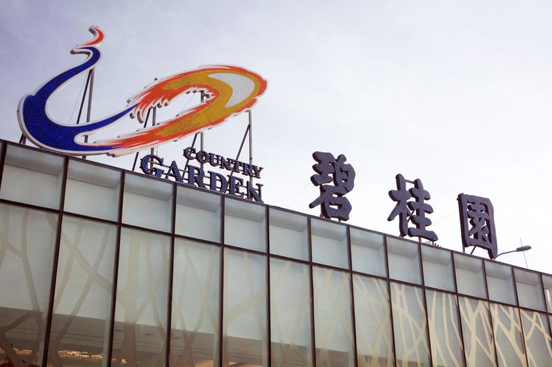 China's Country Garden gets new credit line of up to $7 billion - Securities Times
