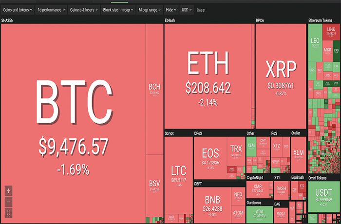 Thi truong ruc do, Bitcoin tiep tuc chuoi ngay den toi hinh anh 1