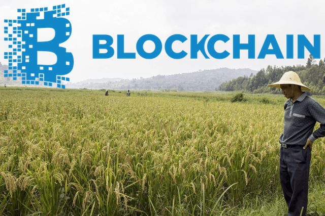  Blog: Chúng ta được gì khi ứng dụng blockchain vào nông nghiệp?