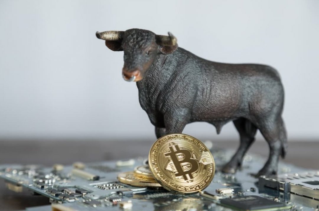 bull bitcoin