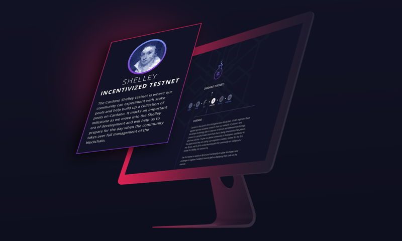 Trong vòng 24h sau khi testnet của Cardano được triển khai, những người nắm giữ ADA đã stake hơn 5 tỷ ADA, trị giá tổng gần 195 triệu USD.