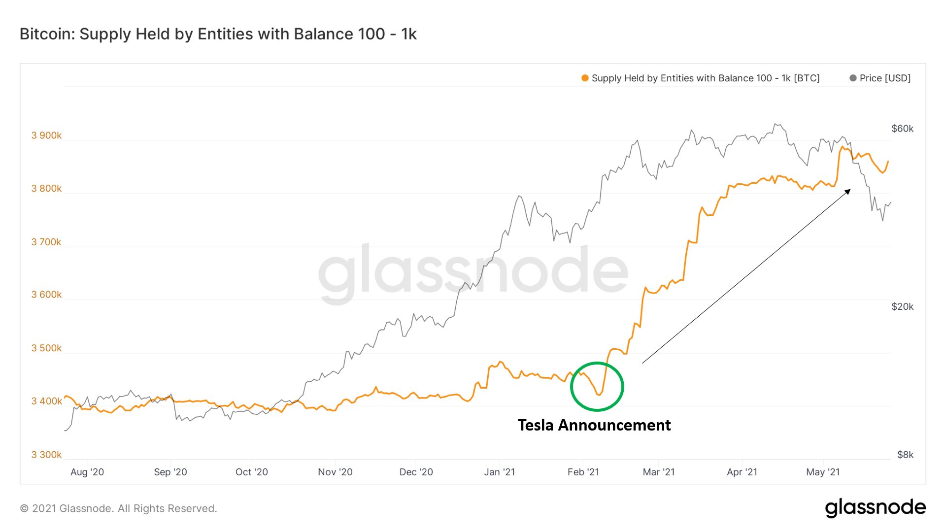Số lượng ví Bitcoin chứa từ 100 BTC đến 1.000 BTC tăng vọt sau khi Tesla mua 1,5 tỷ đô la