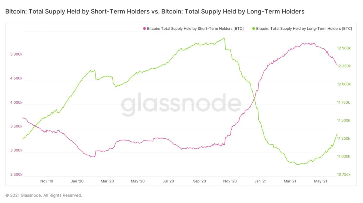 Phân on-Chain Bitcoin: Những holder dài hạn đang tích lũy, đây có phải là tín hiệu thị trường gấu?