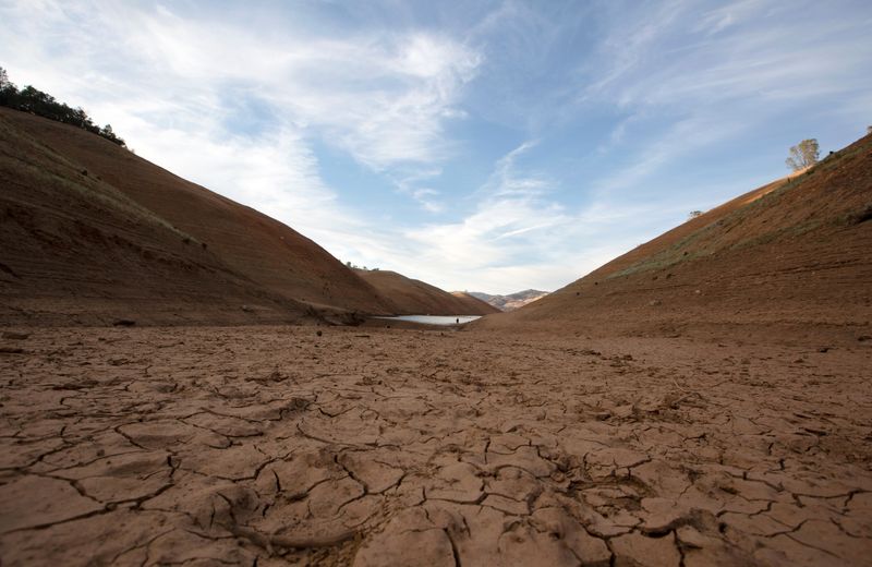 'Historic' heat wave takes aim at Pacific Northwest