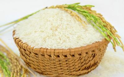 Gạo thấp cấp nhập khẩu từ Ấn Độ làm hại gạo Việt