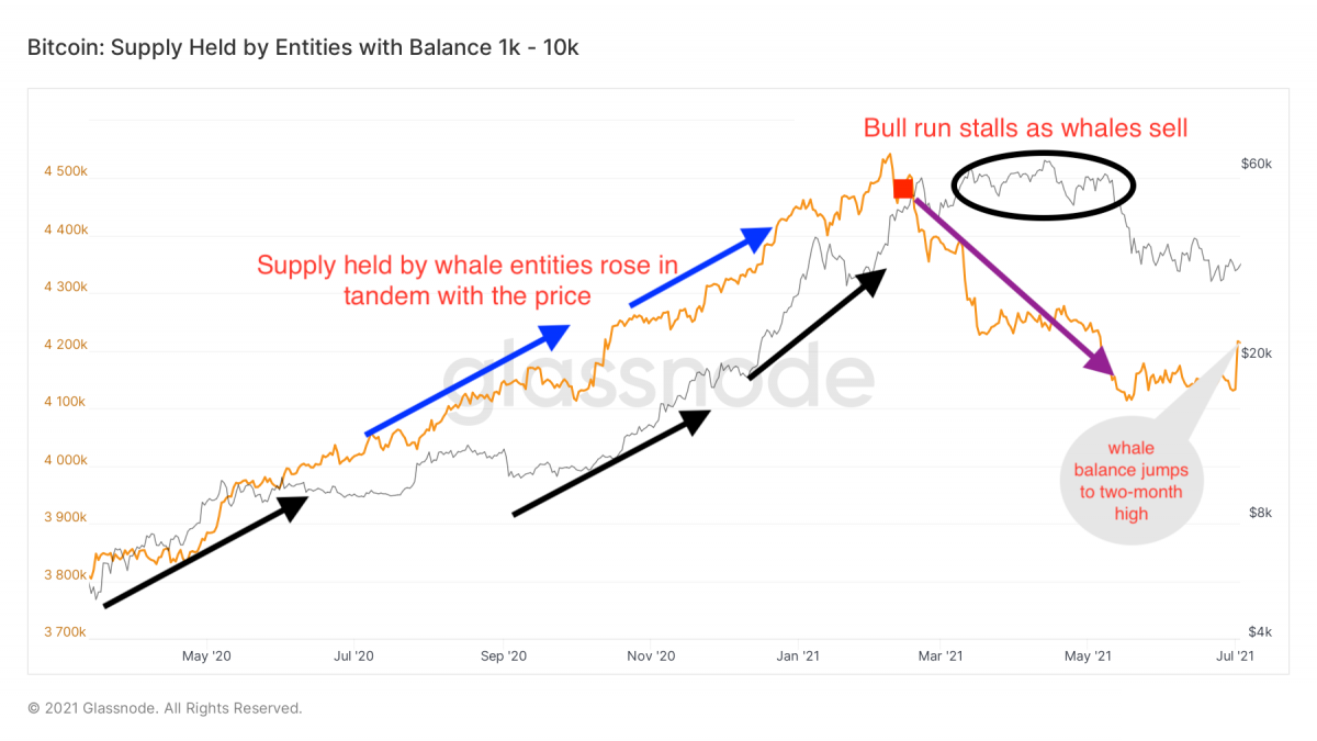 Nguồn cung Bitcoin do “cá voi” nắm giữ đạt mức cao nhất trong hai tháng trong dấu hiệu tăng giá