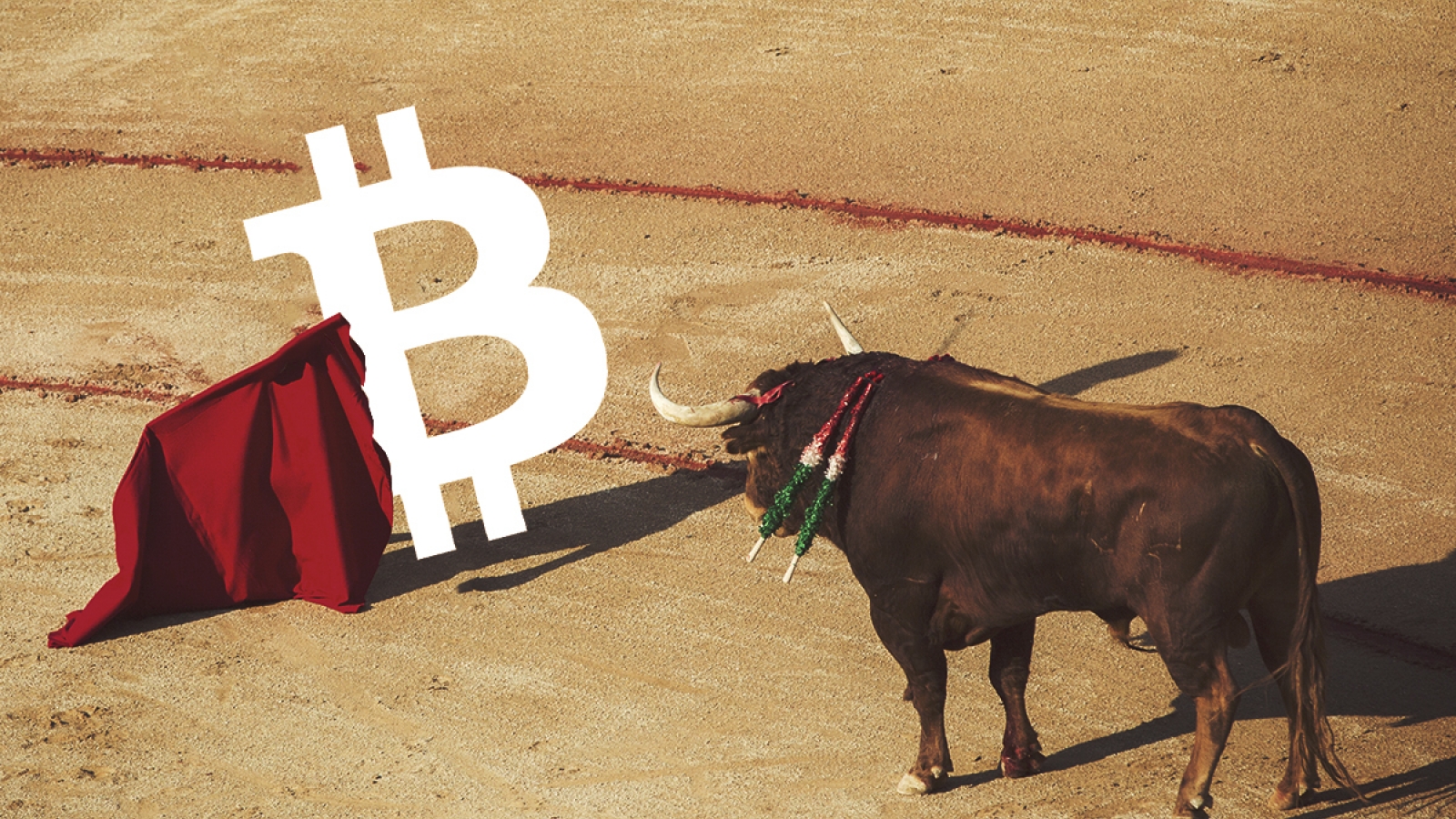 Bull run Bitcoin 2020