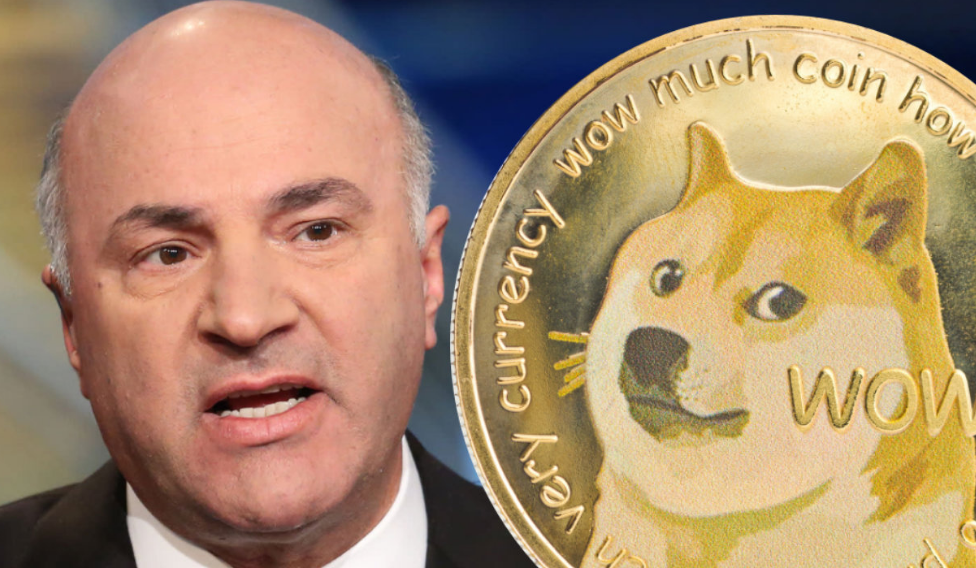 Kevin O'Leary Dogecoin 