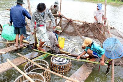 Để sản xuất nông nghiệp thông suốt, cần địa phương phối hợp với nhau