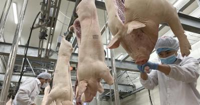 Nhập khẩu thịt tăng phi mã, Hội Chăn nuôi Việt Nam kiến nghị lên Thủ tướng