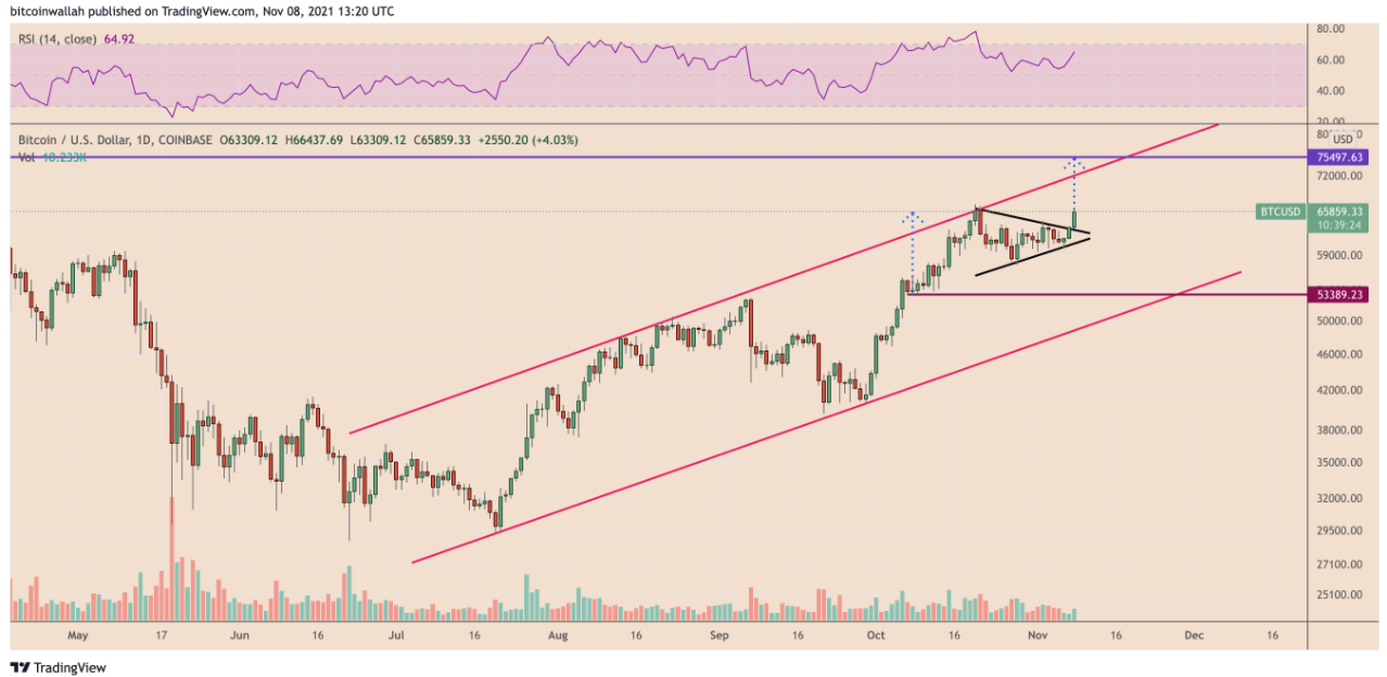 Bitcoin xuất hiện cờ bò tăng giá cổ điển khi cá voi tiếp tục tích lũy