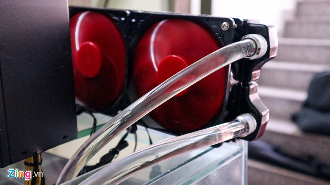 Dan dao coin Viet o at rao ban 'trau' an Tet hinh anh 2