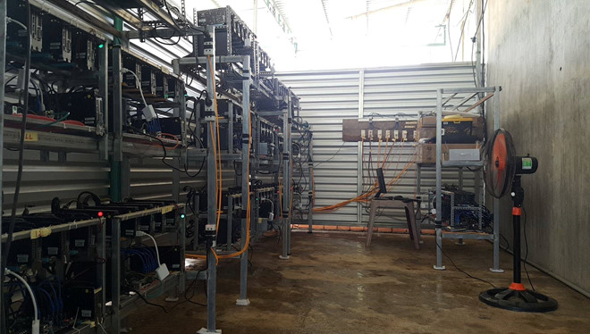 Dan dao coin Viet o at rao ban 'trau' an Tet hinh anh 1